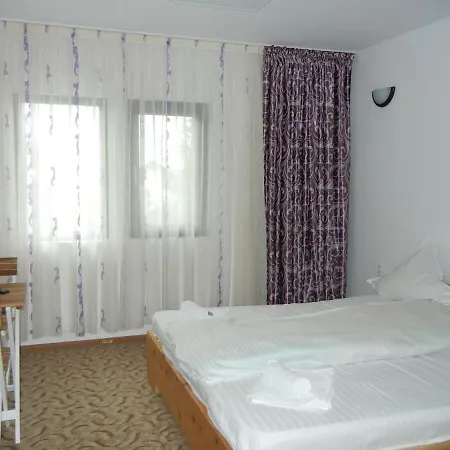 Guest house Pensiunea La Marion *