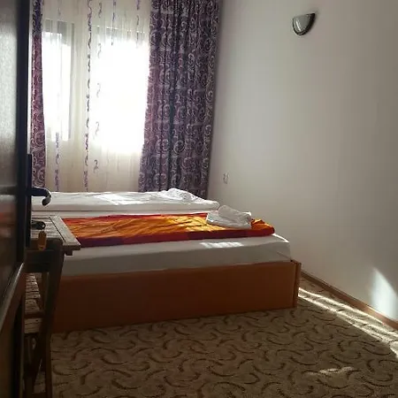 Pensiunea La Marion Guest house *