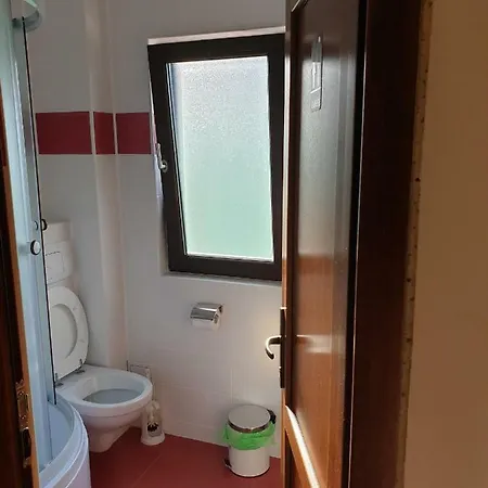 Pensiunea La Marion Guest house Predeal