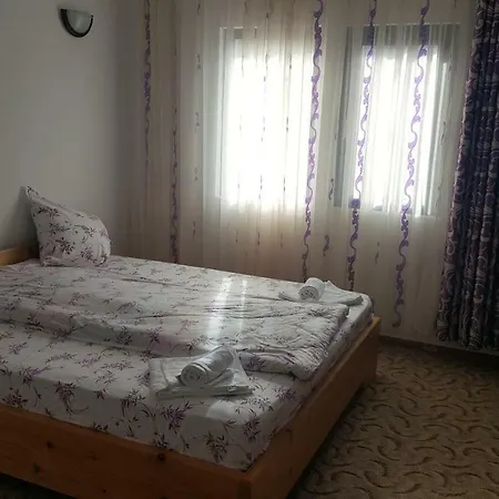 Guest house Pensiunea La Marion
