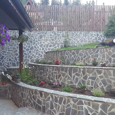 Guest house Pensiunea La Marion Predeal