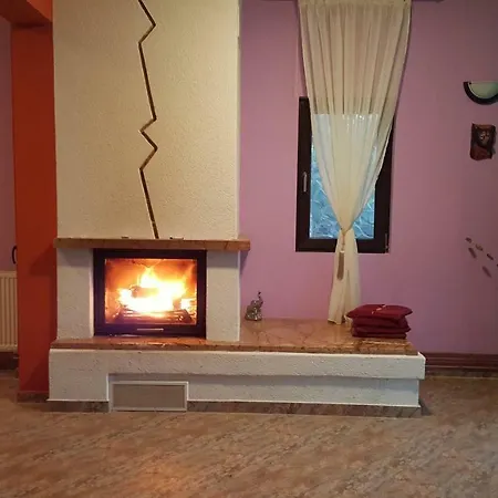 Pensiunea La Marion Guest house Predeal